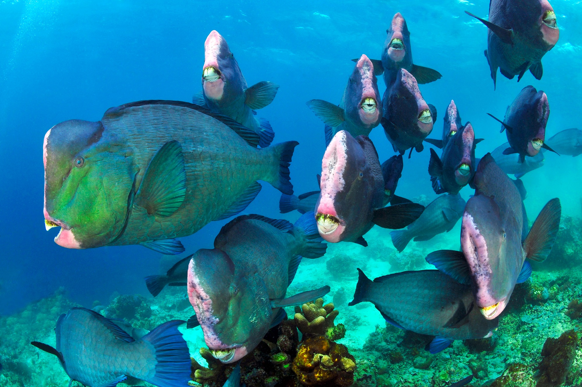 Sipadan_02