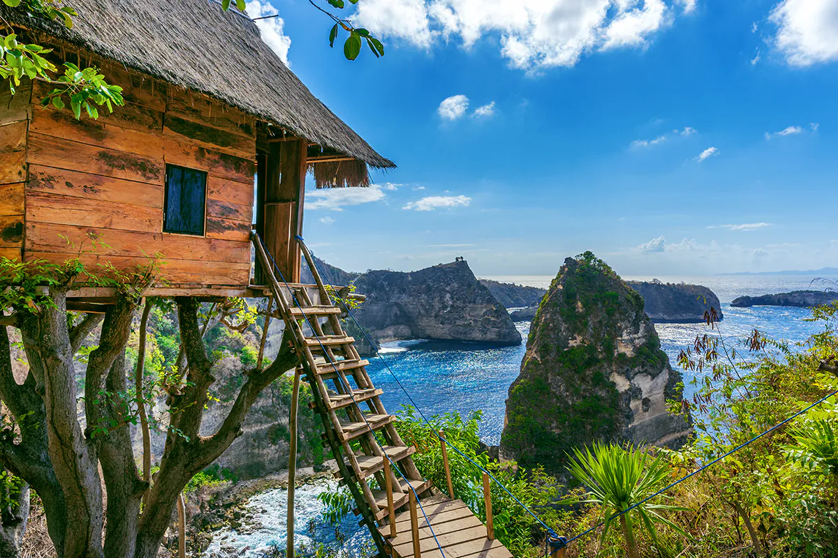 tree-house